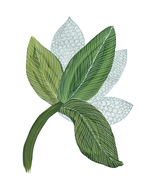 Fine Art Print - Seed Pods