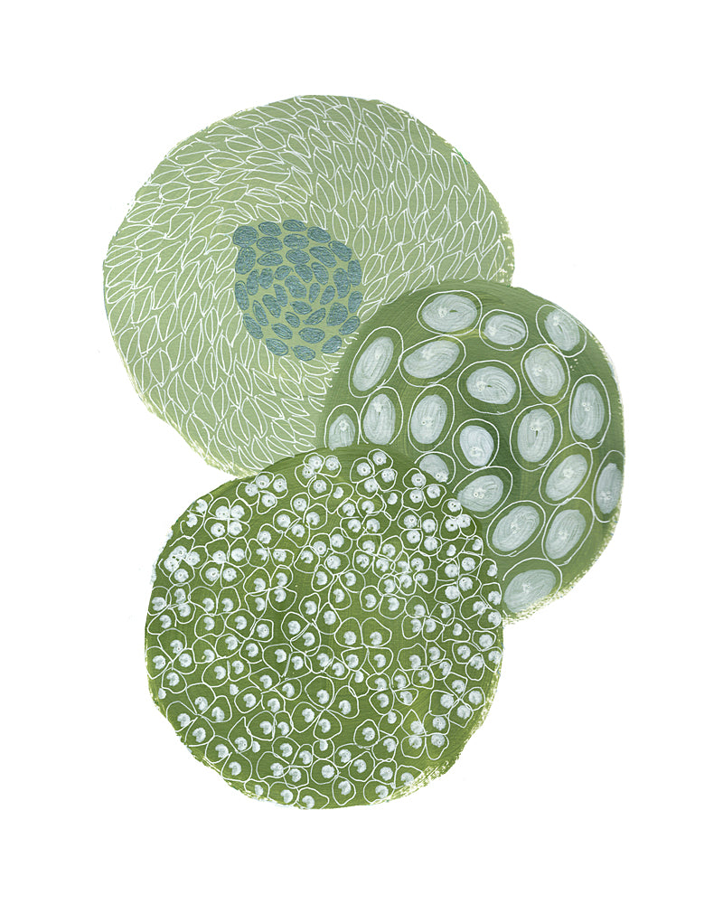Fine Art Print - Seed Pods