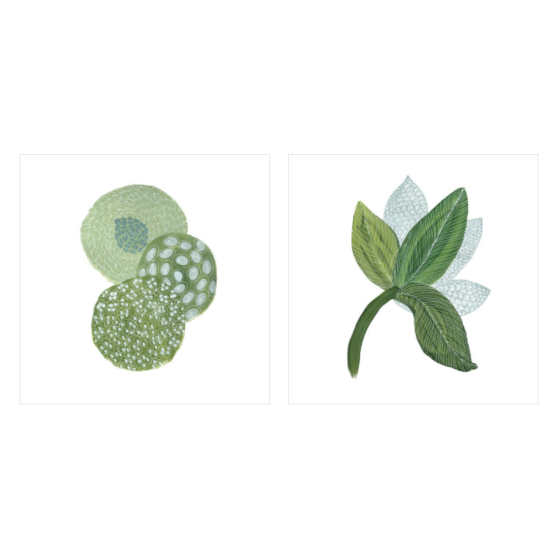 Fine Art Print - Seed Pods