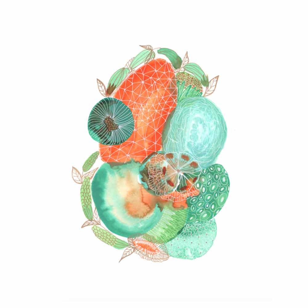 Fine Art Print - Turquoise Seeds