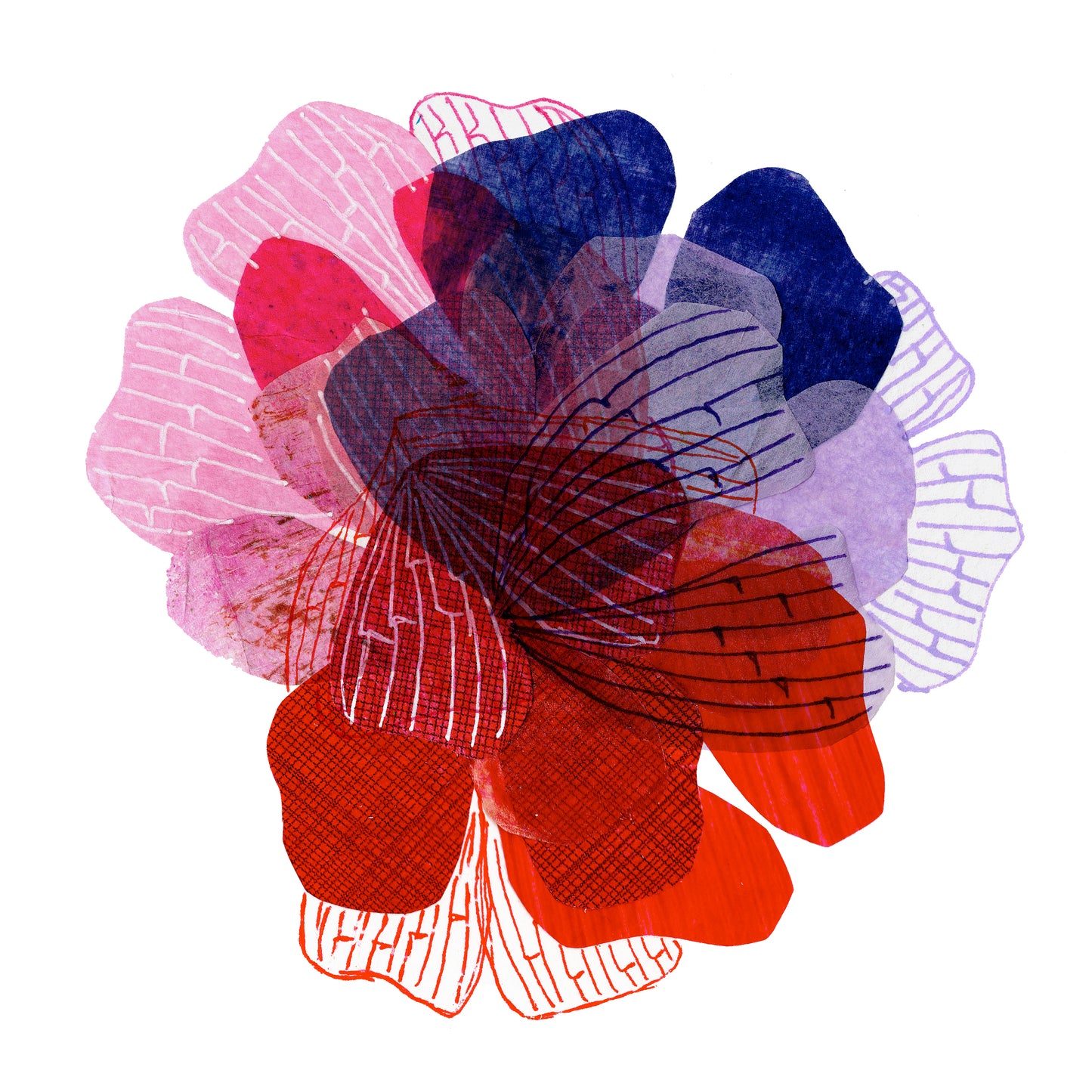 Fine Art Print - Petal Spectrum Purple