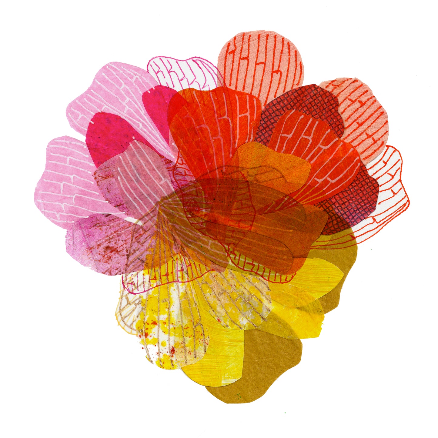 Fine Art Print - Petal Spectrum Orange