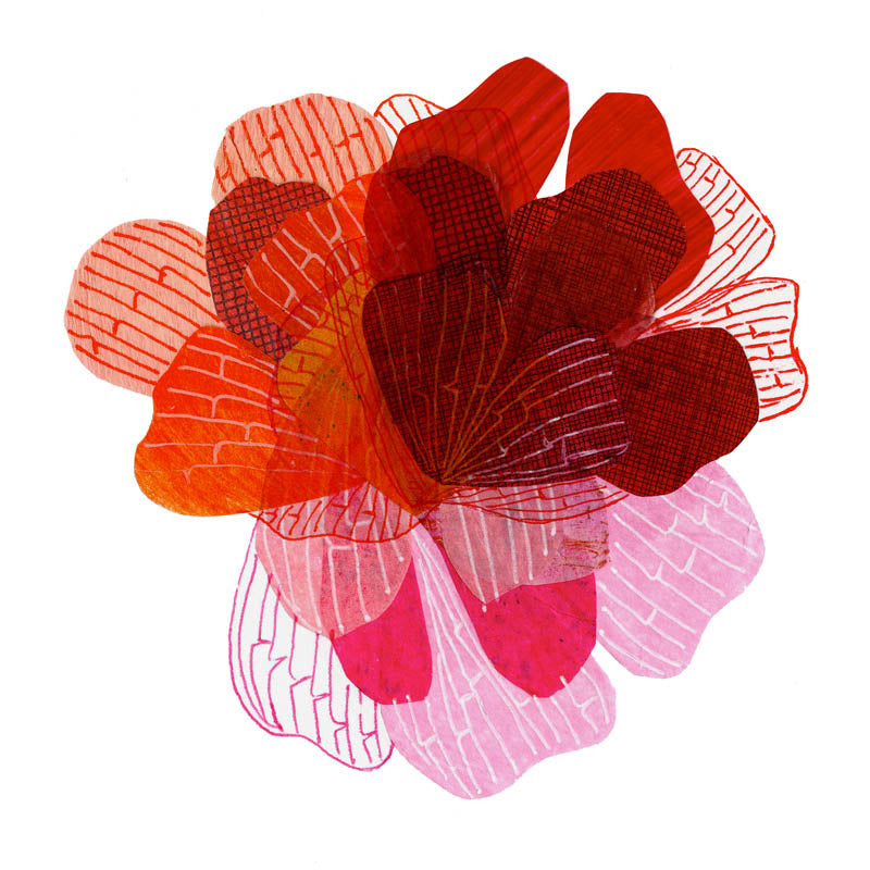 Fine Art Print - Petal Spectrum Red