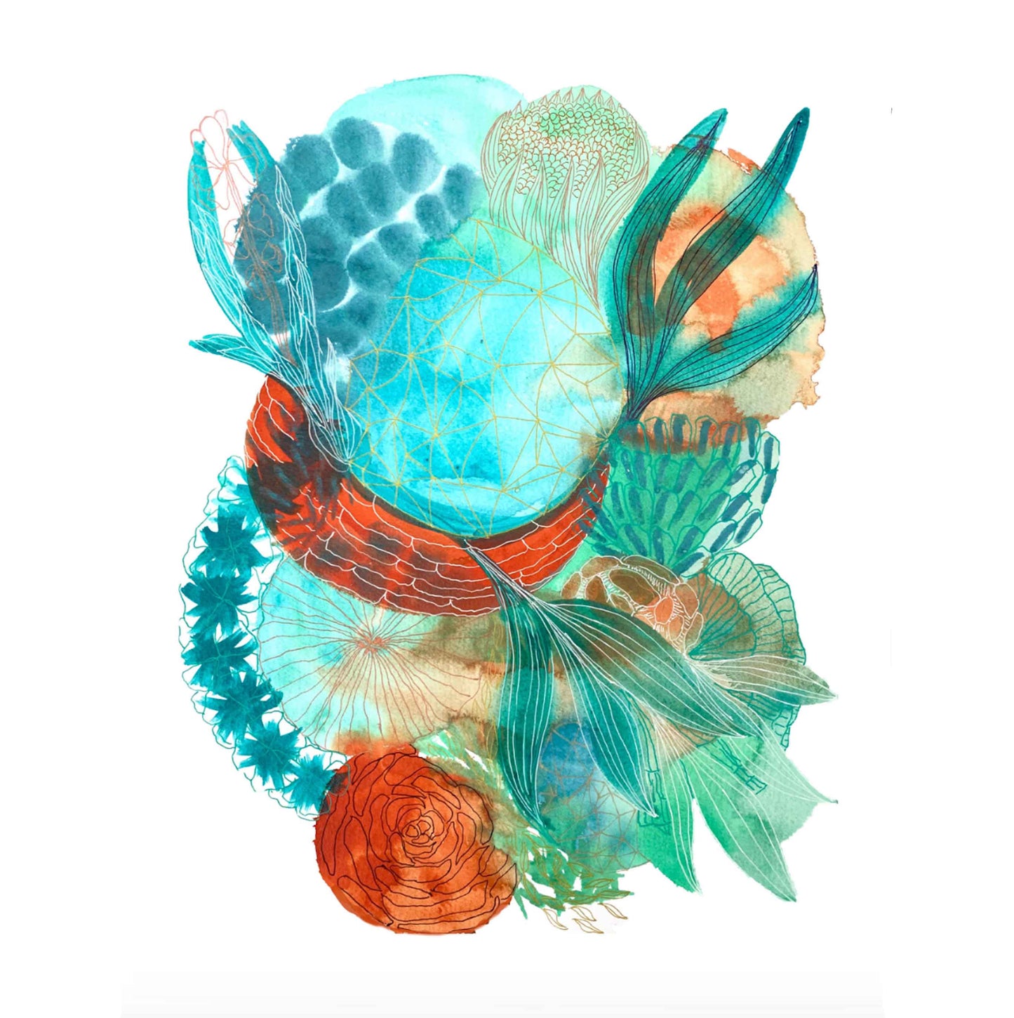 Fine Art Print -  Coral Reef